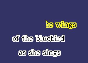 mm

G)? W bluebird
EB sing m