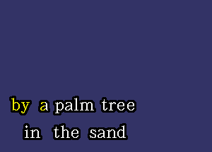 by a palnltree

in the sand