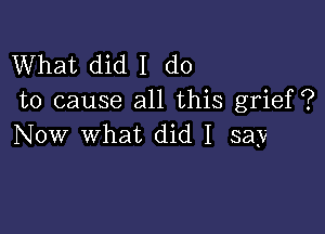 What did I do
to cause all this grief ?

Now What did I say