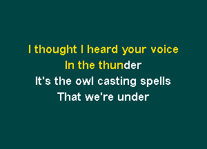 I thought I heard your voice
In the thunder

It's the owl casting spells
That we're under