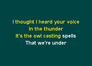 I thought I heard your voice
In the thunder

It's the owl casting spells
That we're under