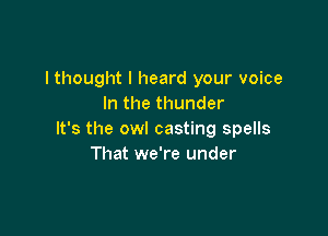 I thought I heard your voice
In the thunder

It's the owl casting spells
That we're under