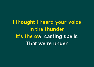 I thought I heard your voice
In the thunder

It's the owl casting spells
That we're under