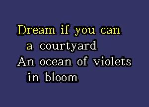 Dream if you can
a courtyard

An ocean of violets
in bloom