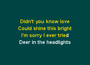 Didn't you know love
Could shine this bright

I'm sorry I ever tried
Deer in the headlights