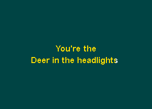 You're the

Deer in the headlights