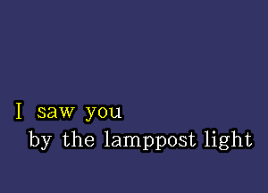 I saw you
by the lamppost light