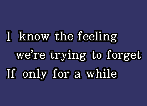 I know the feeling

we re trying to forget

If only for a While