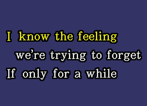 I know the feeling

we re trying to forget

If only for a While