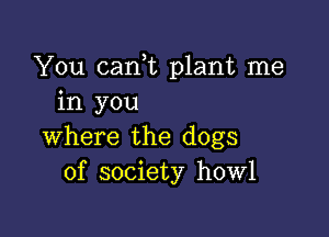 You cam plant me
in you

where the dogs
of society howl