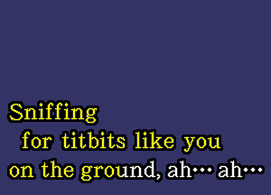 Sniffing
for titbits like you
on the ground, ahm ahm