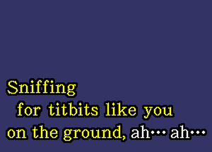 Sniffing
for titbits like you
on the ground, ahm ahm