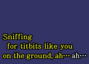 Sniffing
for titbits like you
on the ground, ahm ahm