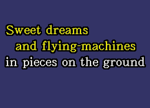 Sweet dreams
and f lying-machines

in pieces on the ground