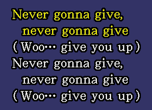 Never gonna give,
never gonna give
(Woo-n give you up)
Never gonna give,

never gonna give

(Woo'n give you up) I