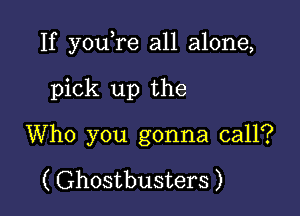 If youTe all alone,

pick up the
Who you gonna call?

( Ghostbusters )