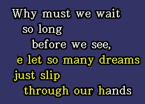 Why must we wait
so long
before we see,
e let so many dreams
just slip
through our hands