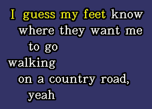 I guess my feet know
where they want me
to go

walking
on a country road,
yeah