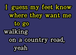 I guess my feet know
where they want me
to go

walking
on a country road,
yeah