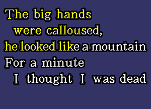 The big hands
were calloused,
he looked like a mountain

For a minute
I thought I was dead