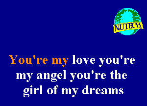 Y ou're my love you're
my angel you're the
girl of my dreams