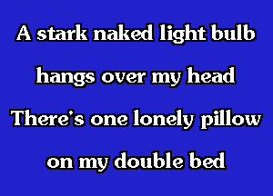 A stark naked light bulb

hangs over my head

There's one lonely pillow

on my double bed