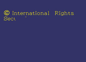 (3) International Rights
SeCL