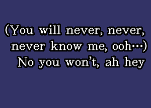 (You will never, never,
never know me, oohm)

No you w0n t, ah hey