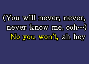 (You will never, never,
never know me, oohm)

No you w0n t, ah hey