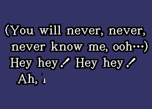 (You will never, never,
never know me, oohm)

Hey hey! Hey hey!
Ah, 1