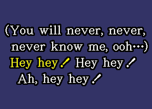 (You will never, never,
never know me, oohm)

Hey hey! Hey hey!
Ah, hey hey X