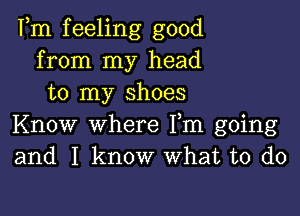 Fm feeling good
from my head
to my shoes

Know where Fm going
and I know What to do