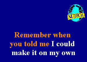 Remember when
you told me I could
make it on my own