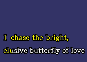 I chase the bright,

elusive butterfly of love