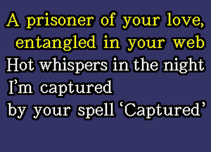 A prisoner of your love,
entangled in your web

Hot Whispers in the night
Fm captured

by your spell Captured,