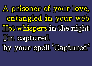 A prisoner of your love,
entangled in your web

Hot Whispers in the night
Fm captured

by your spell Captured,