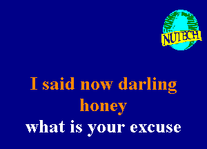 I said now darling
honey
what is your excuse