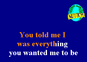 You told me I
was everything
you wanted me to be