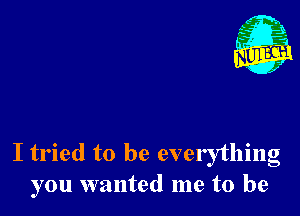 I tried to be everything
you wanted me to be