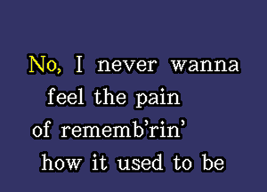 No, I never wanna

feel the pain

of remembkid
how it used to be