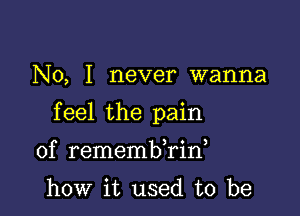 No, I never wanna

feel the pain

of remembTin,

how it used to be