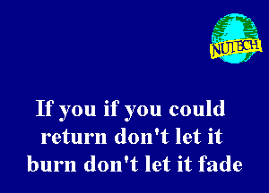 If you if you could
return don't let it
burn don't let it fade