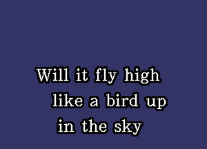 Will it fly high
like a bird up

in the sky