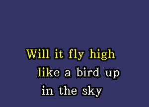 Will it fly high
like a bird up

in the sky