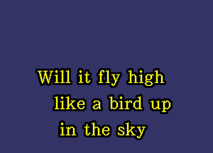 Will it fly high
like a bird up

in the sky