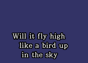 Will it fly high
like a bird up
in the sky