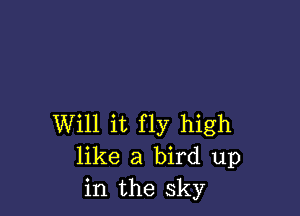 Will it fly high
like a bird up
in the sky