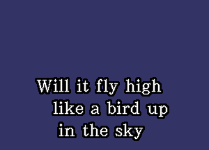 Will it fly high
like a bird up
in the sky