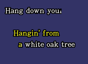 Hang down youl

Hangid from

a white oak tree