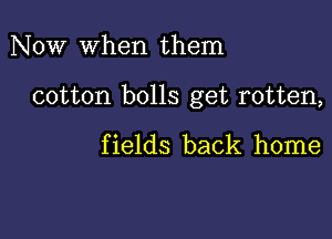 Now when them

cotton bolls get rotten,

fields back home